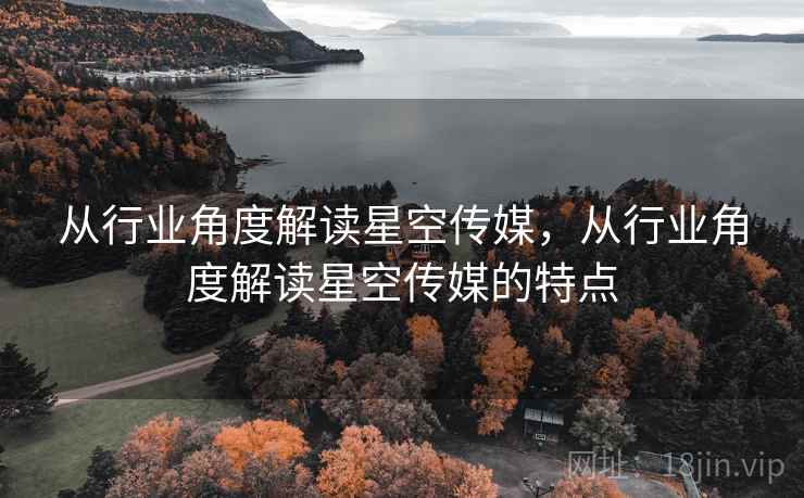从行业角度解读星空传媒，从行业角度解读星空传媒的特点  第1张