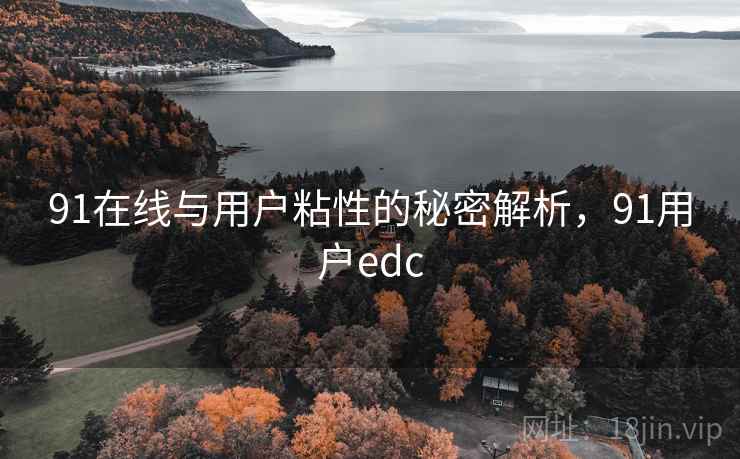 91在线与用户粘性的秘密解析,91用户edc 第1张 91在线与用户粘性的秘密解析,91用户edc 第1张