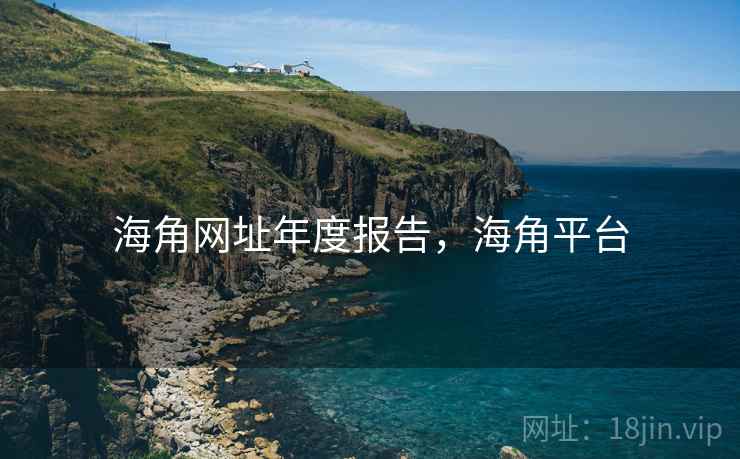 海角网址年度报告，海角平台  第1张
