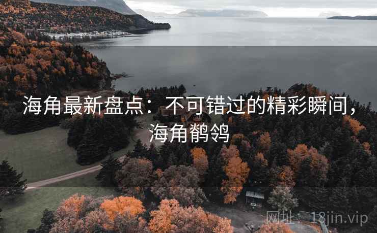 海角最新盘点:不可错过的精彩瞬间,海角鹡鸰 第1张 海角最新盘点:不可错过的精彩瞬间,海角鹡鸰 第1张