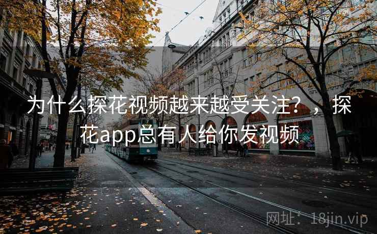 为什么探花视频越来越受关注?,探花app总有人给你发视频 第2张 为什么探花视频越来越受关注?,探花app总有人给你发视频 第2张