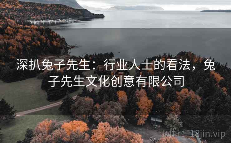 深扒兔子先生:行业人士的看法,兔子先生文化创意有限公司 第1张 深扒兔子先生:行业人士的看法,兔子先生文化创意有限公司 第1张